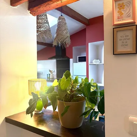 Apartman Centre Idealement Situe Valence